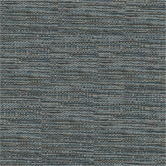 Notion Crypton Upholstery Fabric